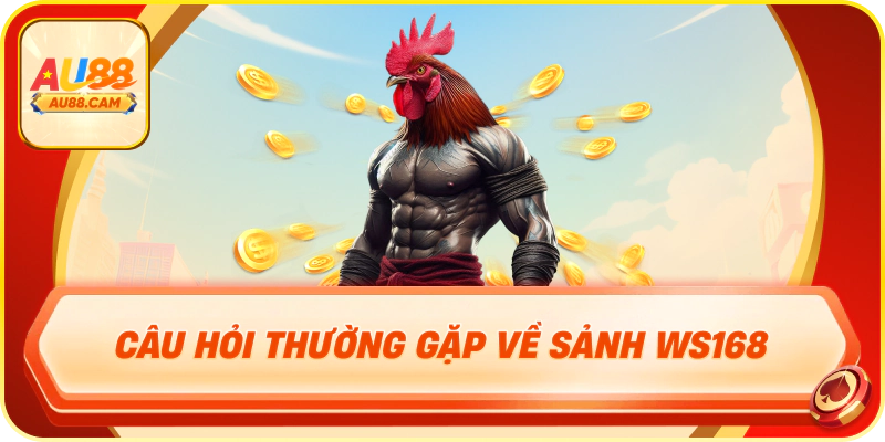 Câu hỏi thường gặp về Sảnh WS168