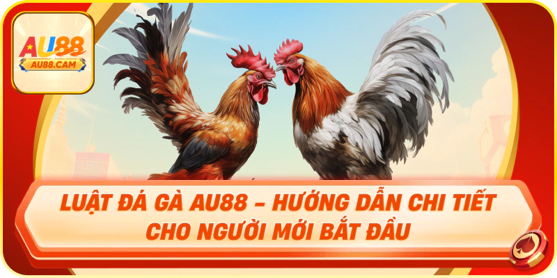 Luật đá gà au88 chi tiết a-z
